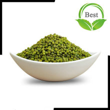 Dry Green Mung Bean 2.5-2.8mm Size for Sprouting